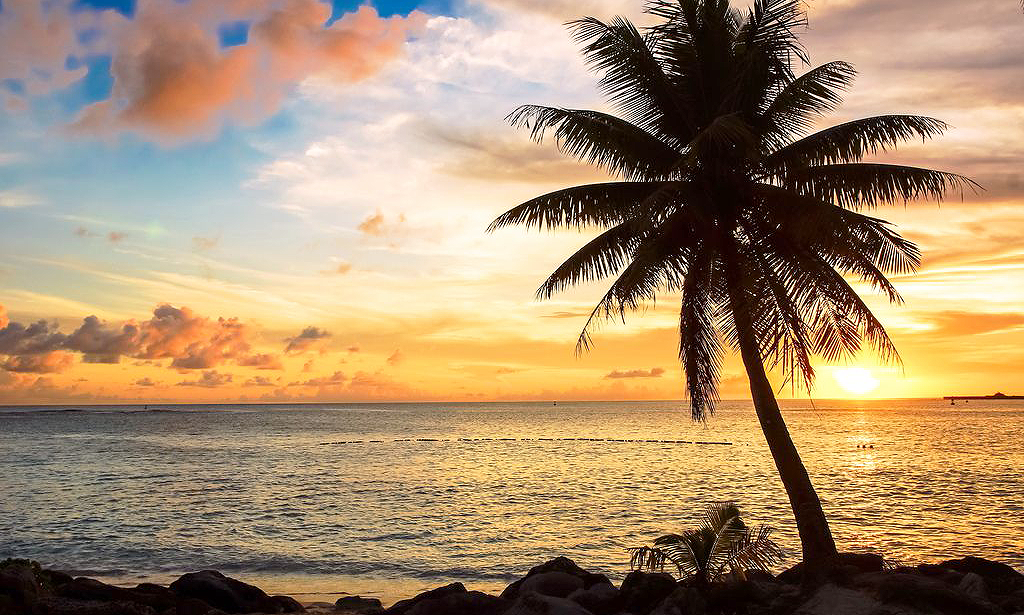 Northern Mariana Islands Board of Nursing, Saipan, MP, USA